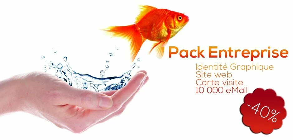 Pack EntrepriseIdentifiez votre entreprise via notre pack spécial.
